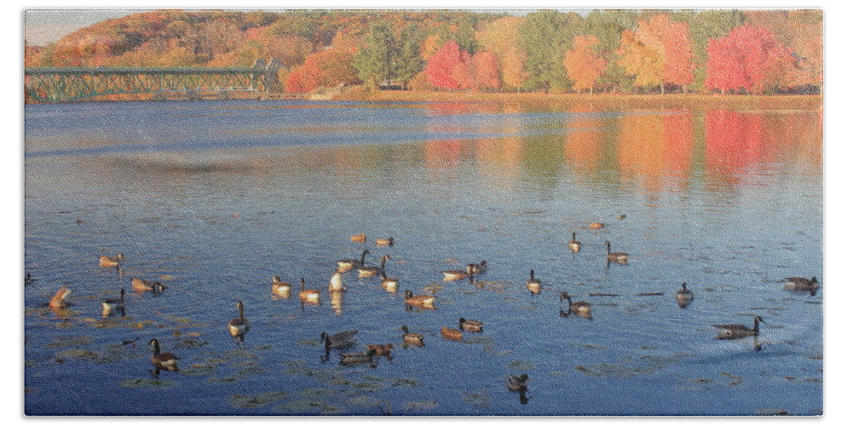 Connecticut River Bath Towel featuring the photograph Fall Foliage and Waterfowl on the Connecticut River by John Burk