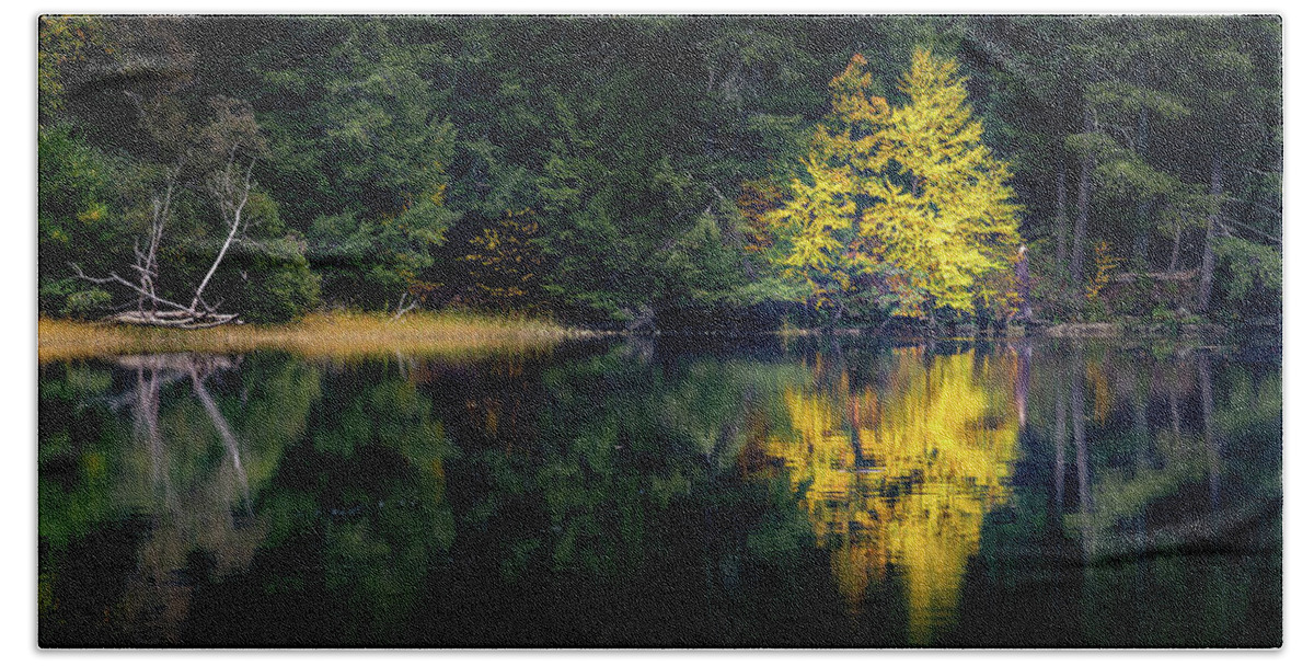 Fall Autumn Maine Nature Swan Island Tree Yellow Bath Towel featuring the photograph Fall in Maine by David Hufstader