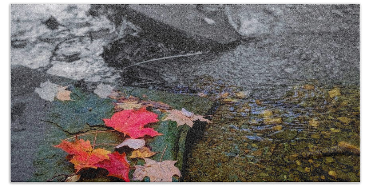 Bath Towel featuring the photograph Fall Leaves by Brad Nellis