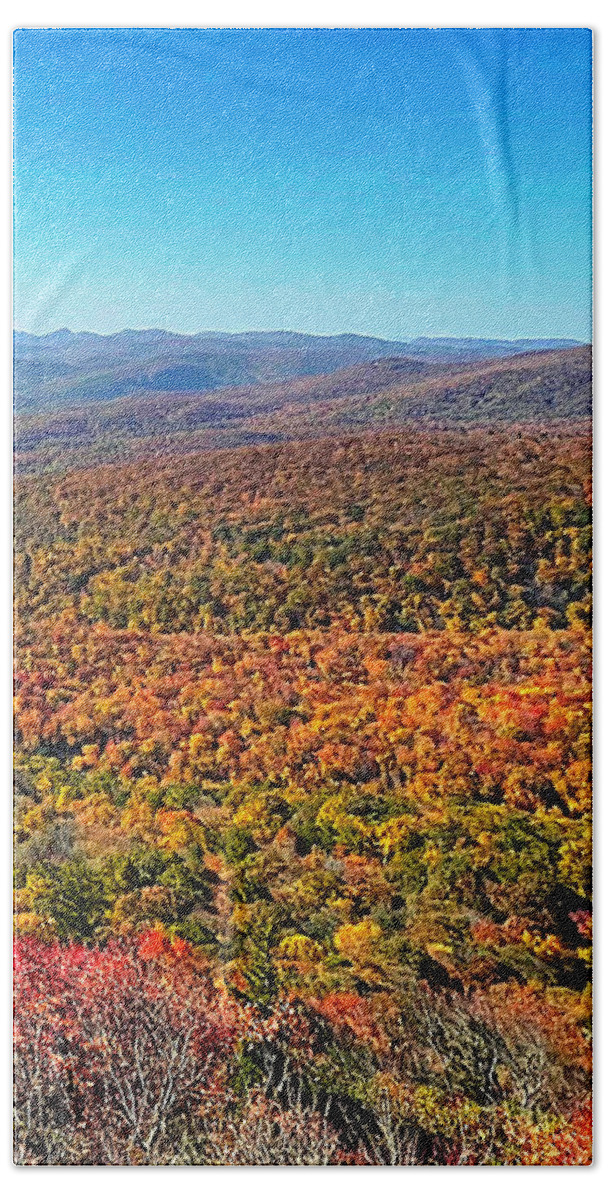 Blue Ridge Parkway Bath Towel featuring the photograph Fall Leaves by Lee Darnell
