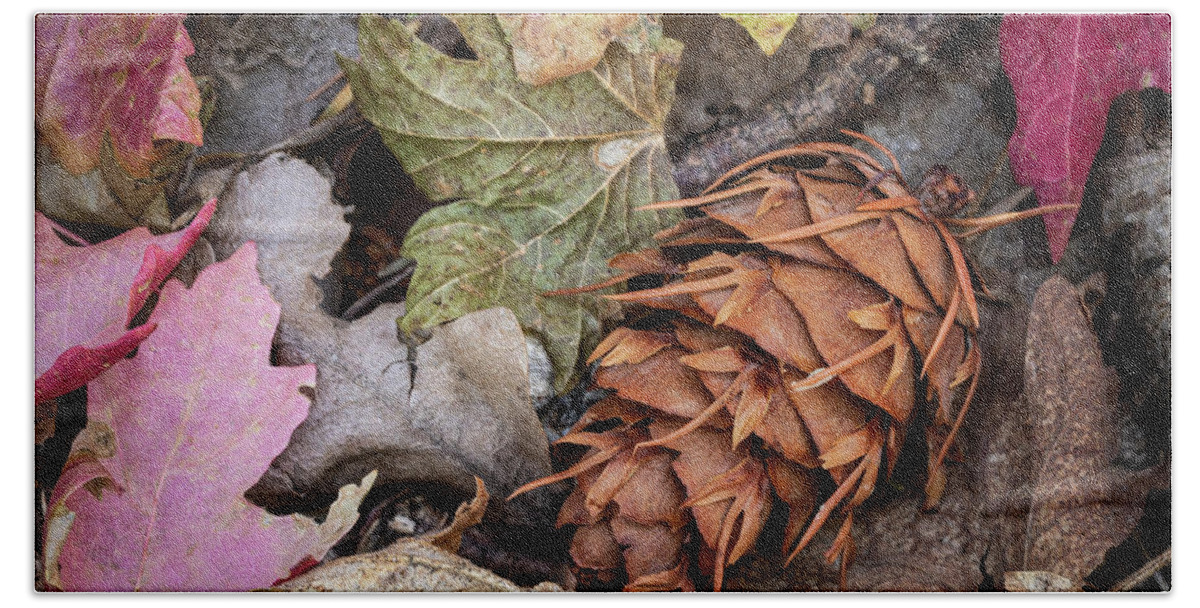 Acer Grandidentatum Bath Towel featuring the photograph Fall Leaves by Maresa Pryor-Luzier