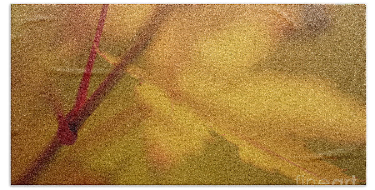 Macro Photography Bath Towel featuring the photograph Fall macro by Tami Boelter