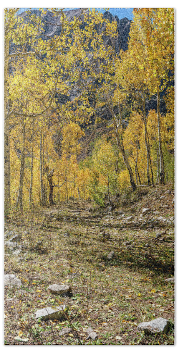Aspens Bath Towel featuring the photograph Fall Mountain Road by Ron Long Ltd Photography