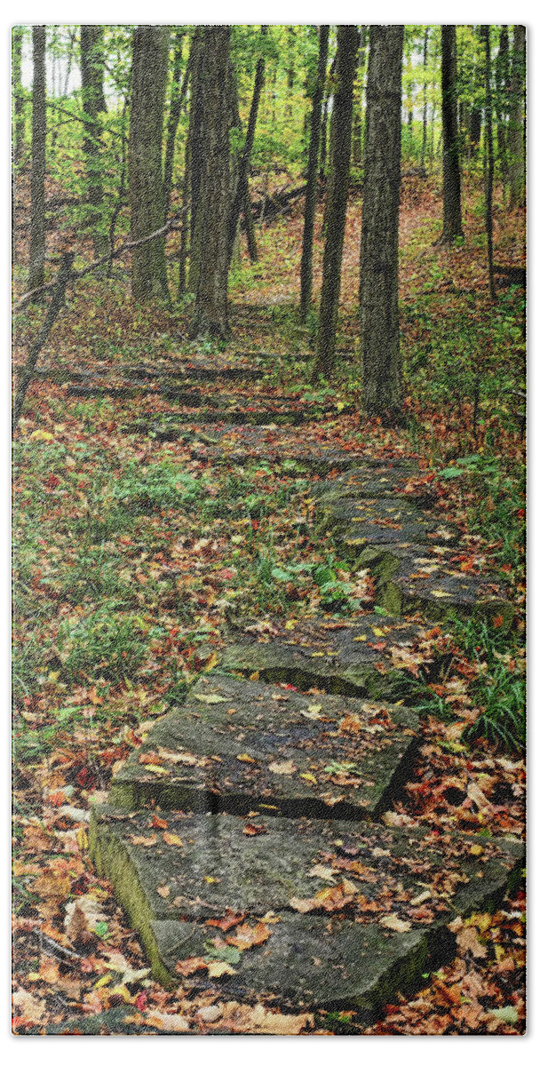Trees Bath Towel featuring the photograph Fall Stone Pathway by Scott Olsen
