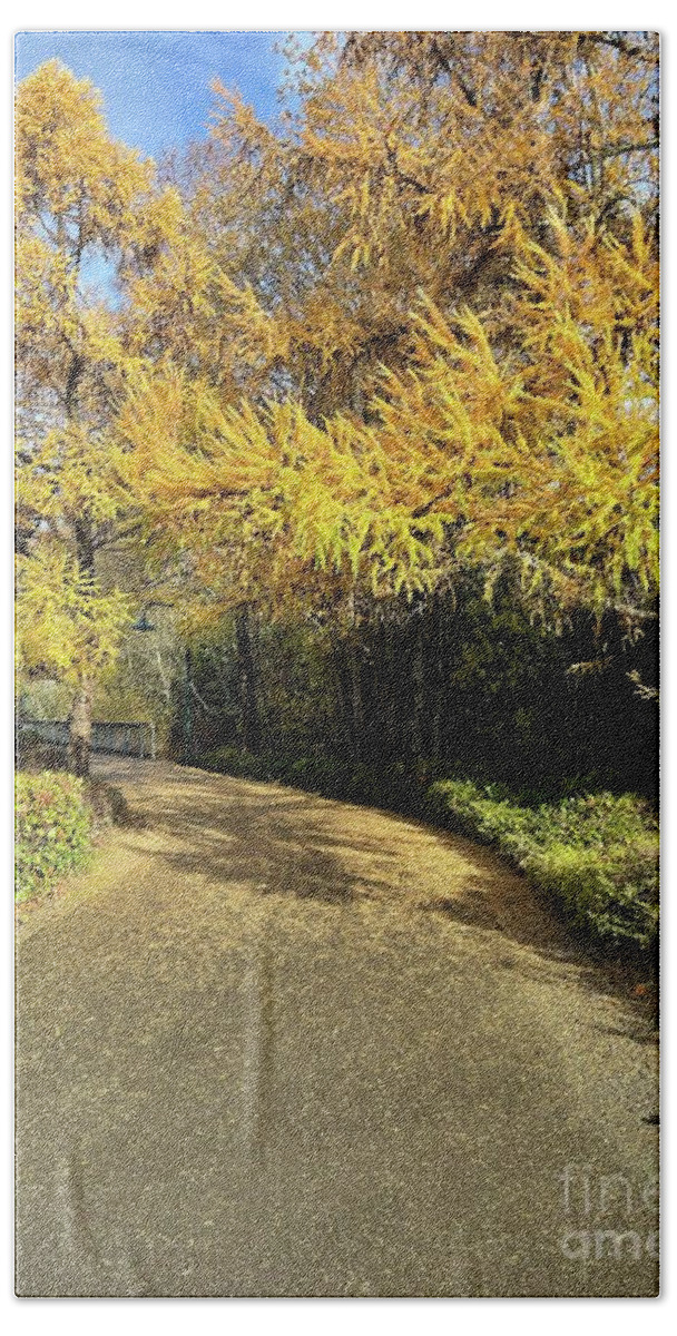 Gene Coulon Memorial Park Bath Towel featuring the photograph Fall Walk by Suzanne Lorenz