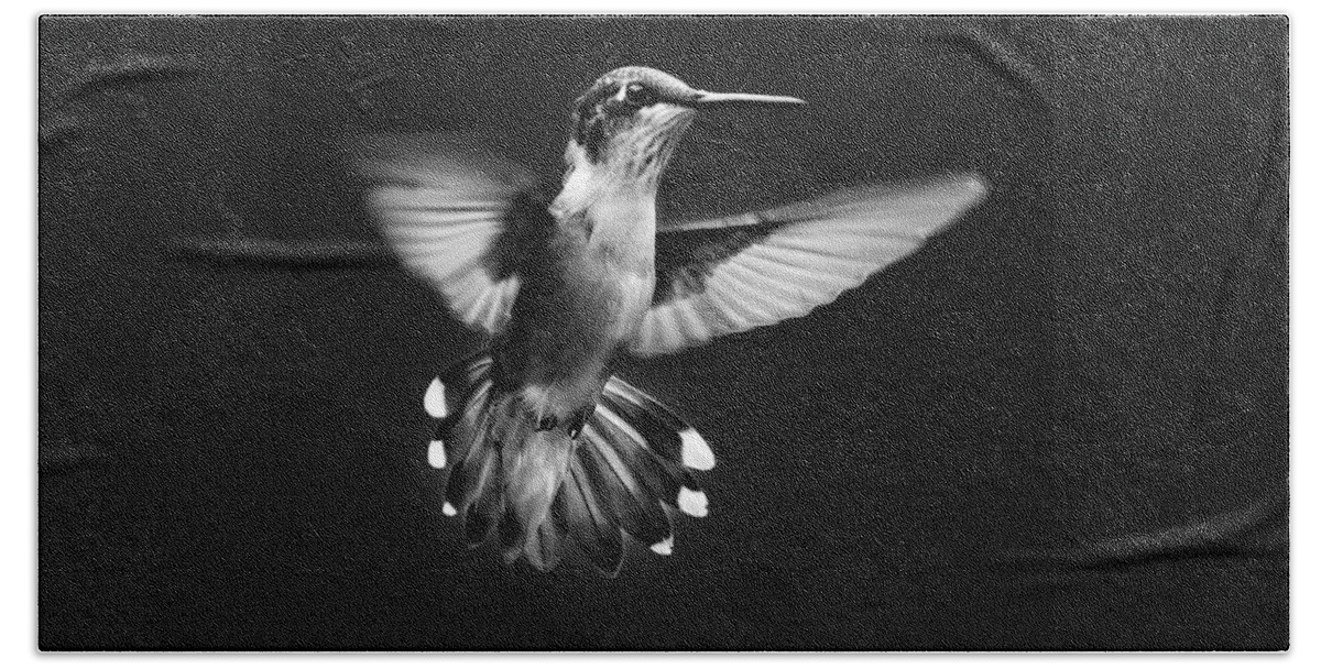 Hummingbird Hand Towel featuring the photograph Fantail Hummingbird by Christina Rollo