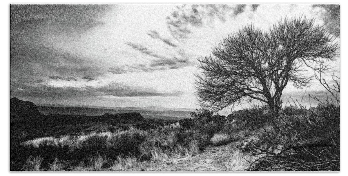 Tree Bath Towel featuring the photograph Far Tree It From Me by KC Hulsman