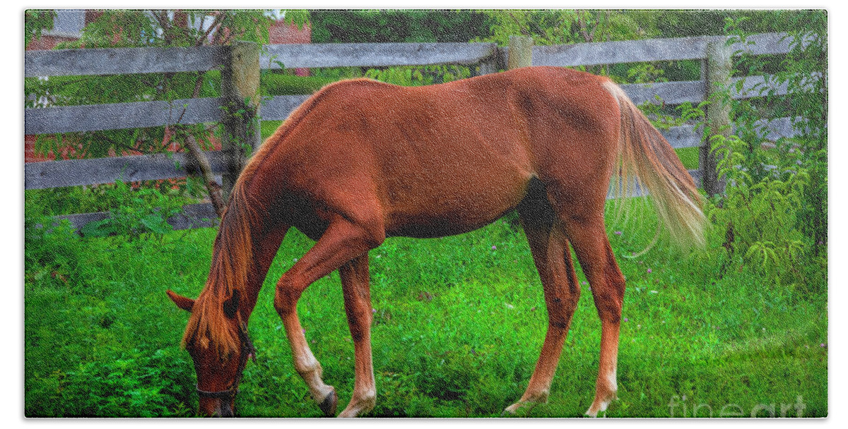 Horse Bath Towel featuring the photograph Farm horse in Northeast Tennessee by Shelia Hunt