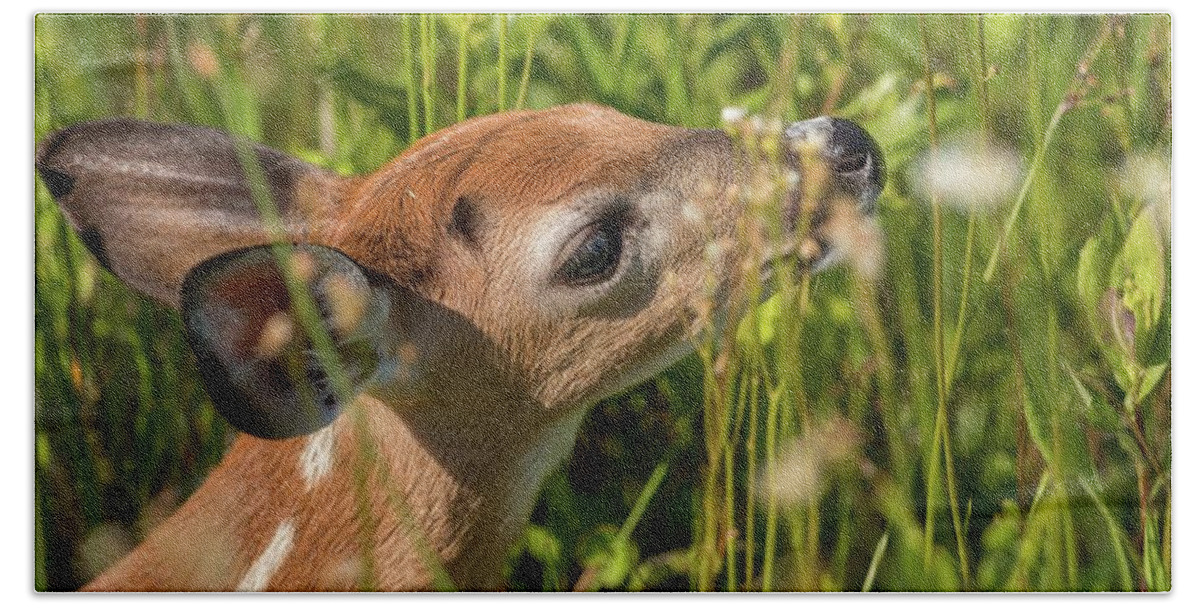 Flowering Bath Towel featuring the photograph Fawn Smelling the Wildflowers by Liza Eckardt