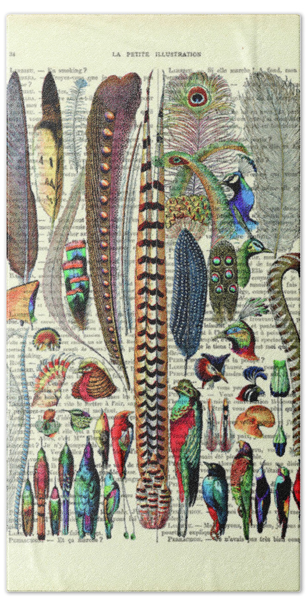 Feather Hand Towel featuring the digital art Feather illustration on antique book page by Madame Memento