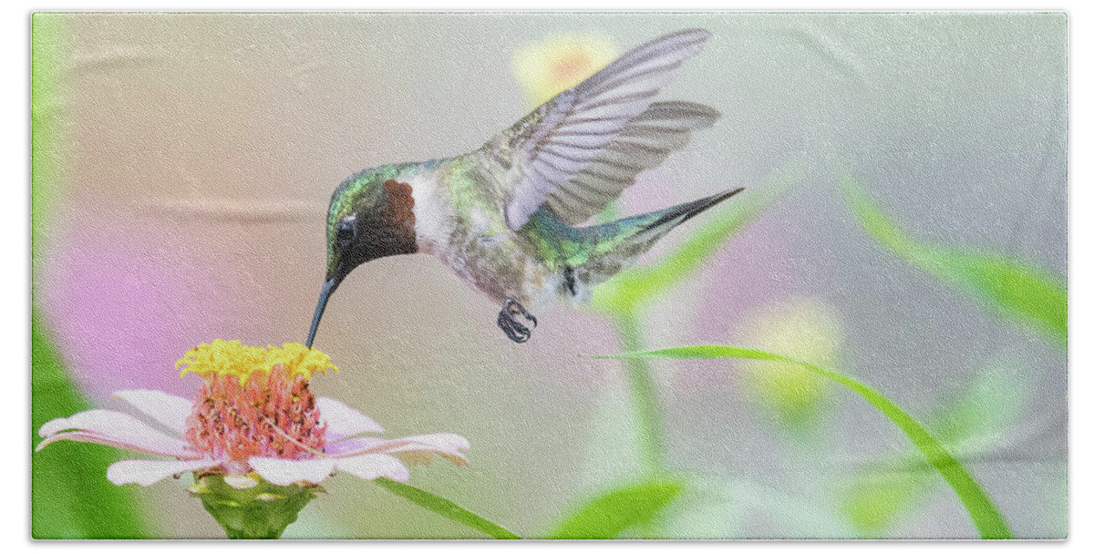 Ruby Throated Hummingbird Hand Towel featuring the photograph Feathered Fancy by Linda Shannon Morgan