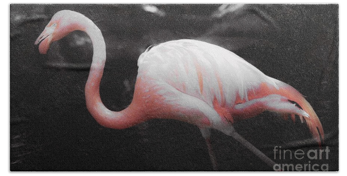 Flamingo Bath Towel featuring the photograph Feathers by Veronica Batterson