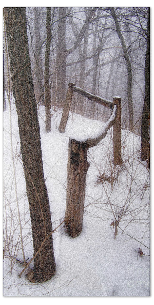 Fence Bath Towel featuring the photograph Fence In Forest In Winter by Phil Perkins