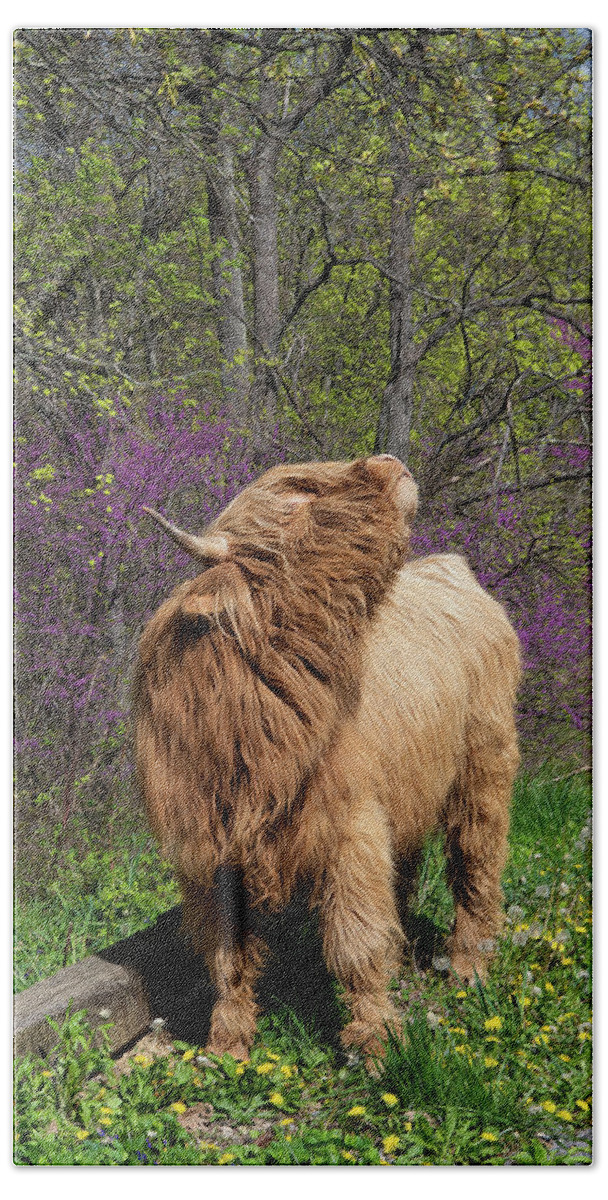 Tennessee Bath Towel featuring the photograph Ogie Knows Spring is in the Air by Marcy Wielfaert