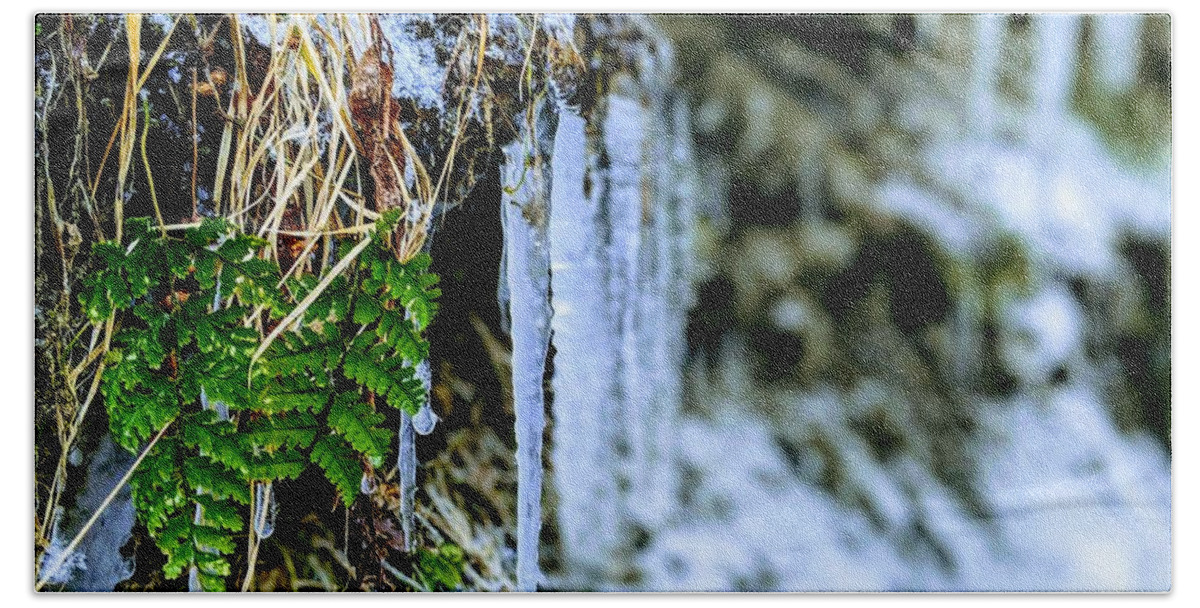  Bath Towel featuring the photograph Fern and Icicles by Brad Nellis