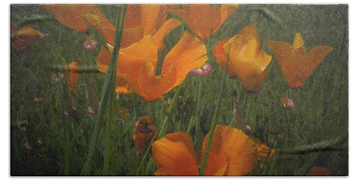 California Bath Towel featuring the photograph Field of Gold by Richard Thomas