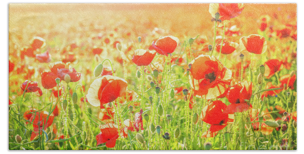 Remembrance Day Bath Towel featuring the photograph Field Of Poppy Flowers by Anastasy Yarmolovich