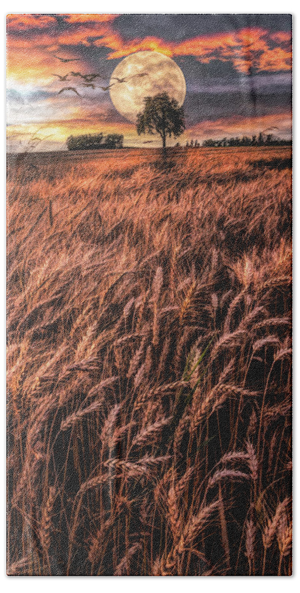 Barn Bath Towel featuring the photograph Fields in Early Evening II Painting by Debra and Dave Vanderlaan