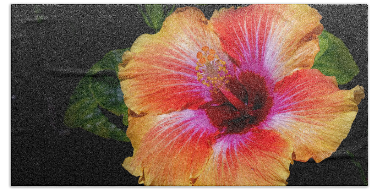 Flowers & Plants Hand Towel featuring the photograph Fiesta Hibiscus by Adam Johnson
