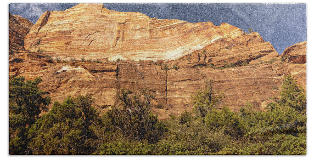 Zion Bath Towel featuring the photograph Figured Cliff Face by Craig A Walker