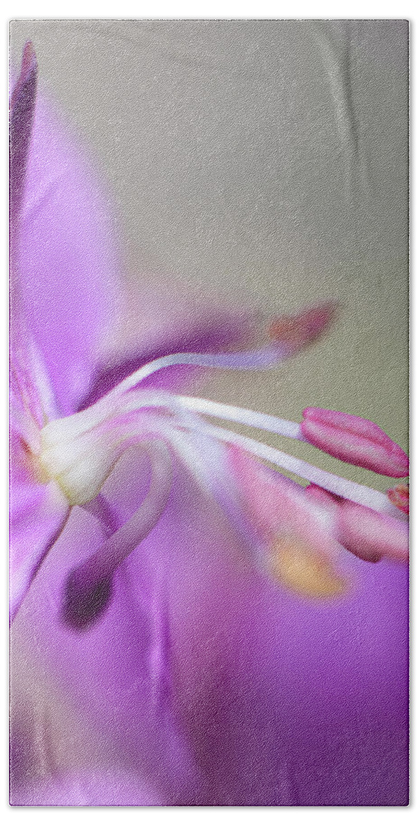 Fireweed Bath Towel featuring the photograph Fireweed Close Up by Karen Rispin