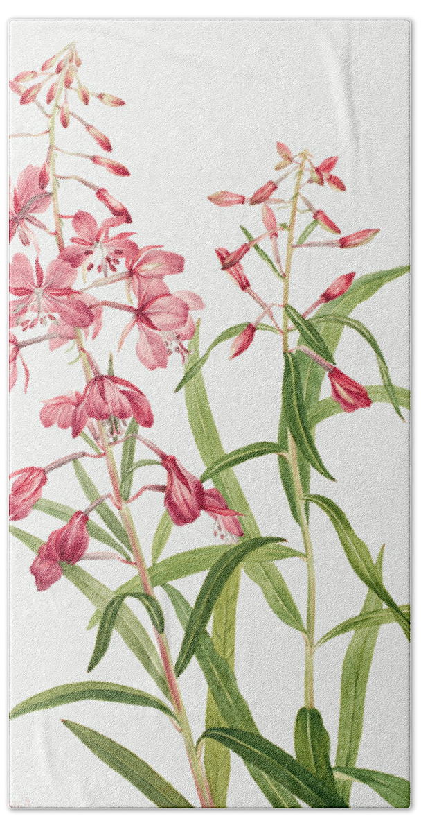 Fireweed Hand Towel featuring the painting Fireweed Flowers by World Art Collective