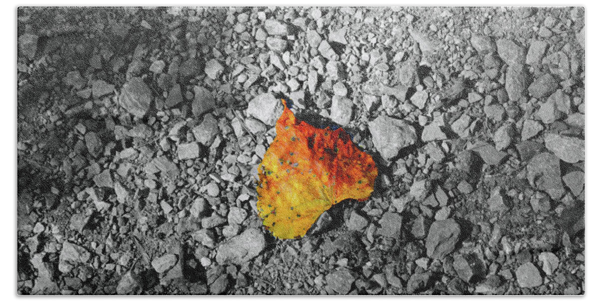Leaf Bath Towel featuring the photograph First Leaf of Autumn by Christopher Reed