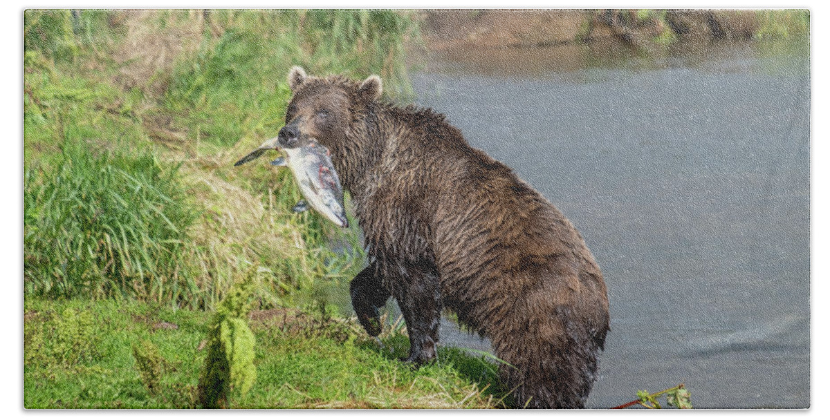 Bear Bath Towel featuring the photograph Fishing brown bear with salmon by Mikhail Kokhanchikov