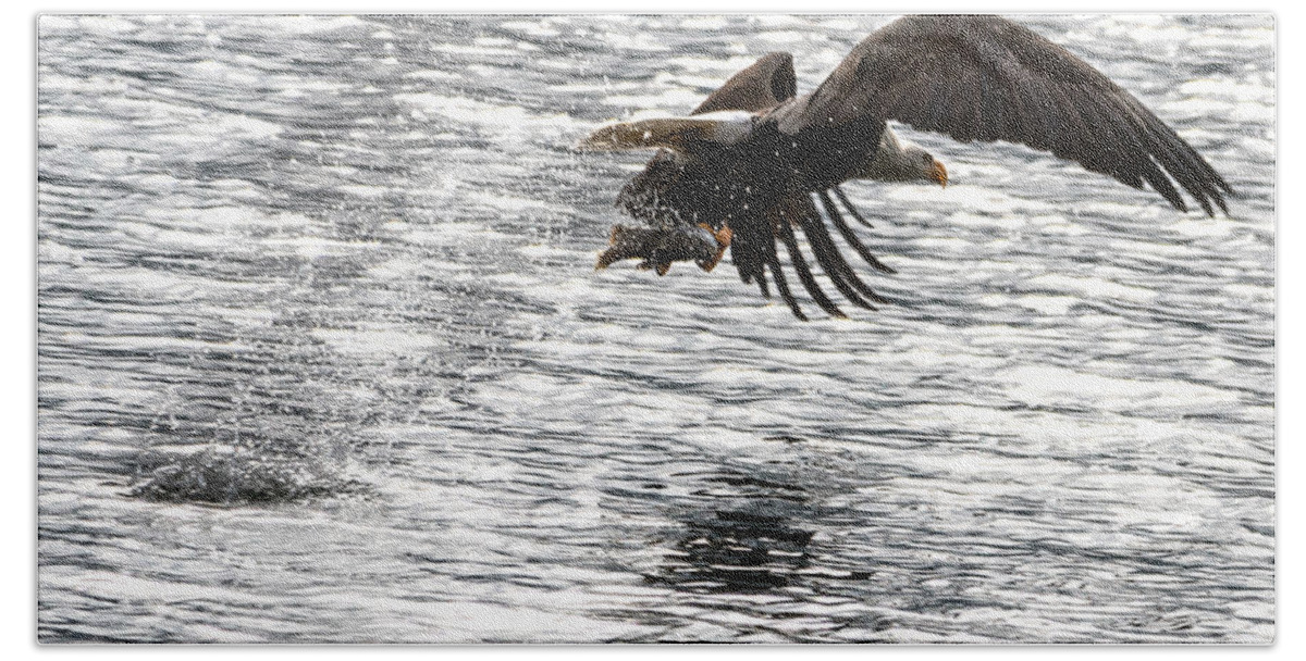 Bald Eagle Bath Towel featuring the photograph Fishing Time by Matthew Nelson