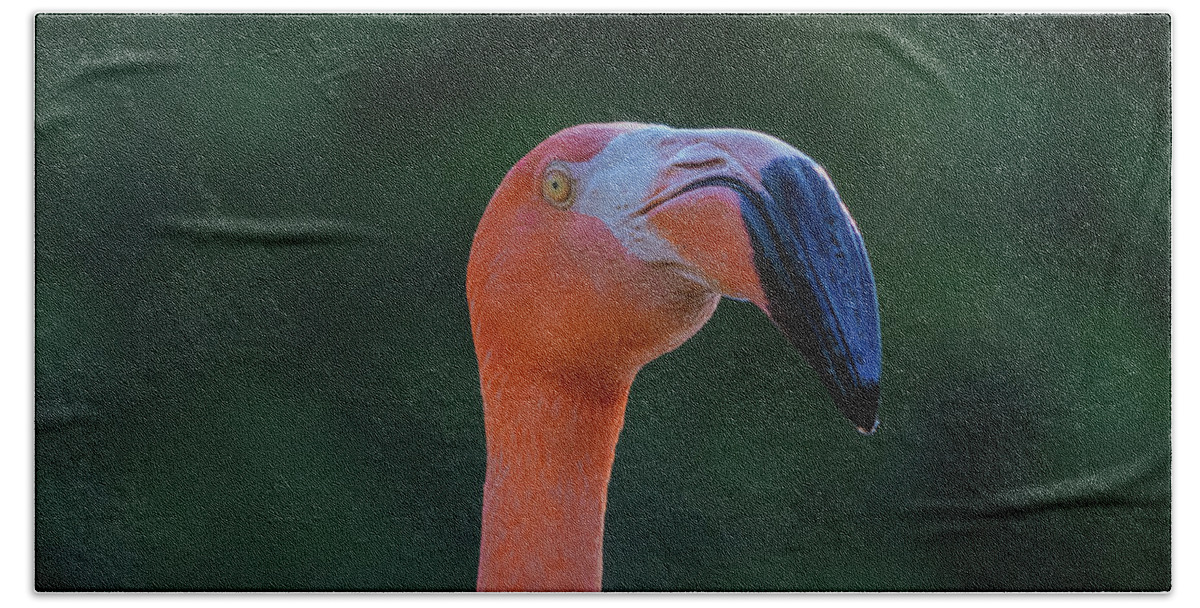  Hand Towel featuring the photograph Flamingo by Angela Carrion Photography