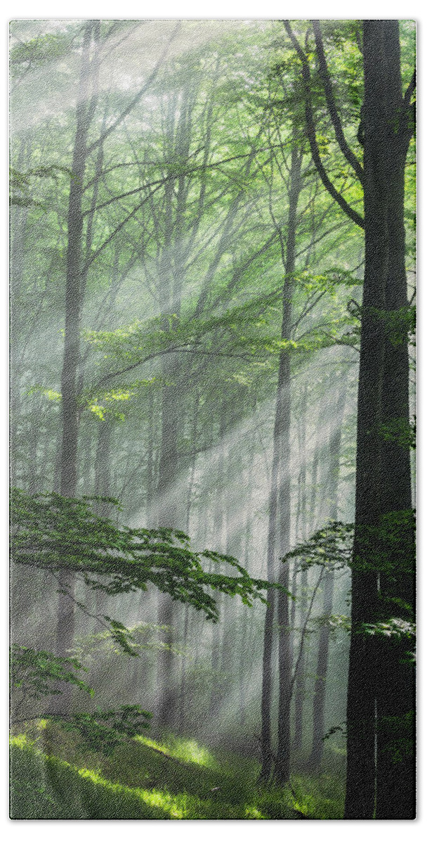 Fog Bath Towel featuring the photograph Fleeting Beams by Evgeni Dinev