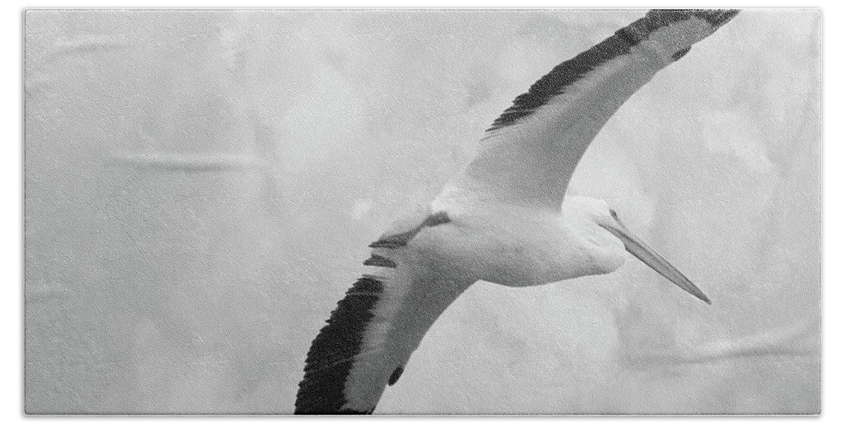 Fauna Bath Towel featuring the photograph Flight of the White Pelican by Mariarosa Rockefeller