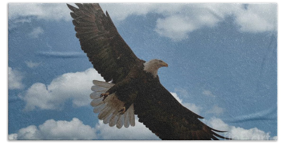 Eagle Hand Towel featuring the photograph Flight by Veronica Batterson