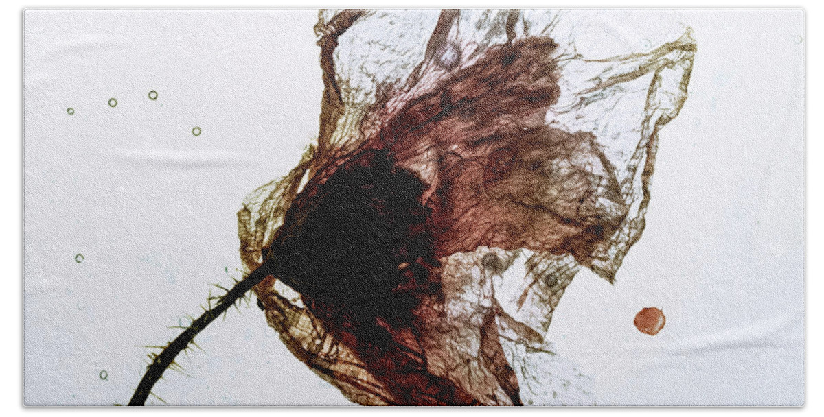 Flowers Hand Towel featuring the photograph Floating poppy by Al Fio Bonina