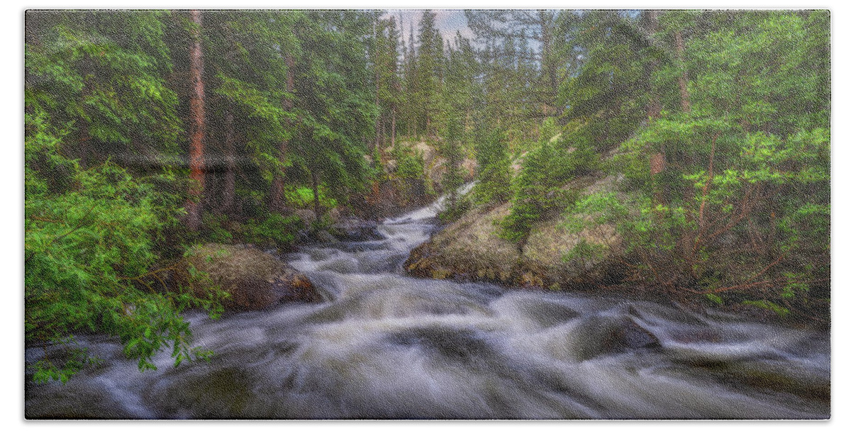 Colorado Bath Towel featuring the photograph Flow of the Forest by Darren White