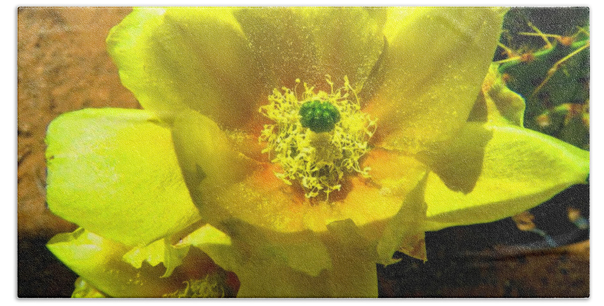 Prickly Pears Hand Towel featuring the photograph Flower's Gold by Judy Kennedy