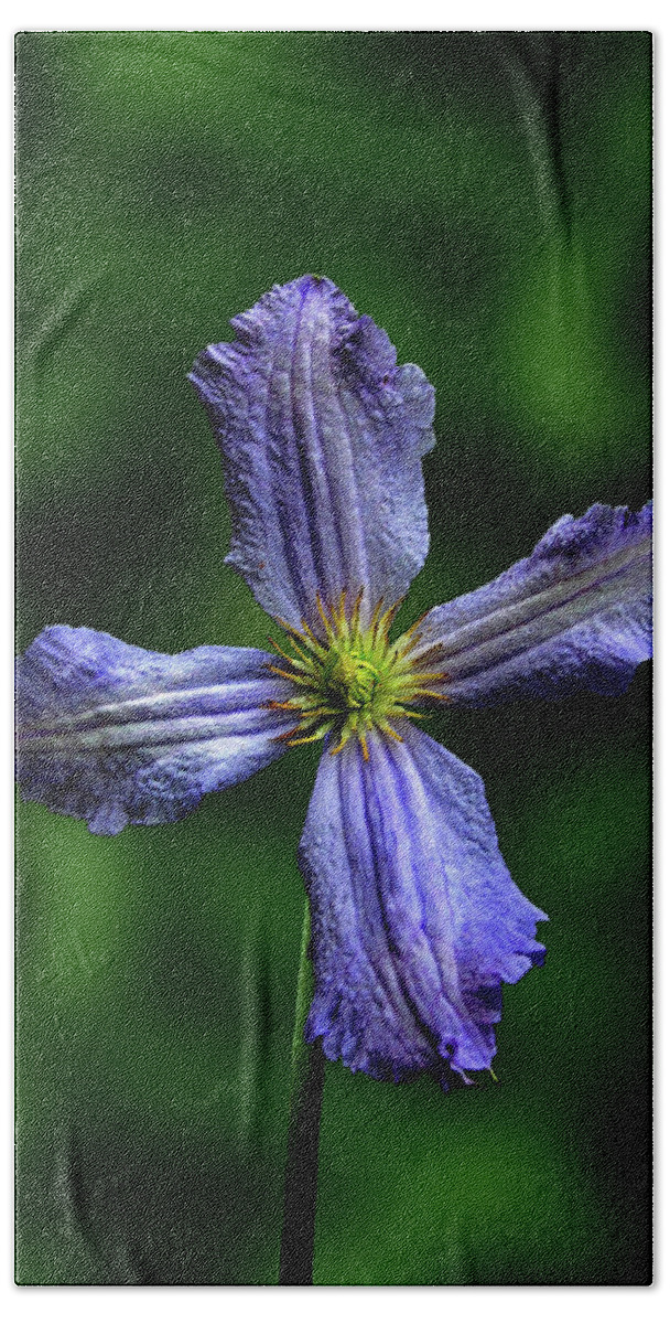 Photography Bath Towel featuring the mixed media Flowers Photography-58 by Art By Lakshmi
