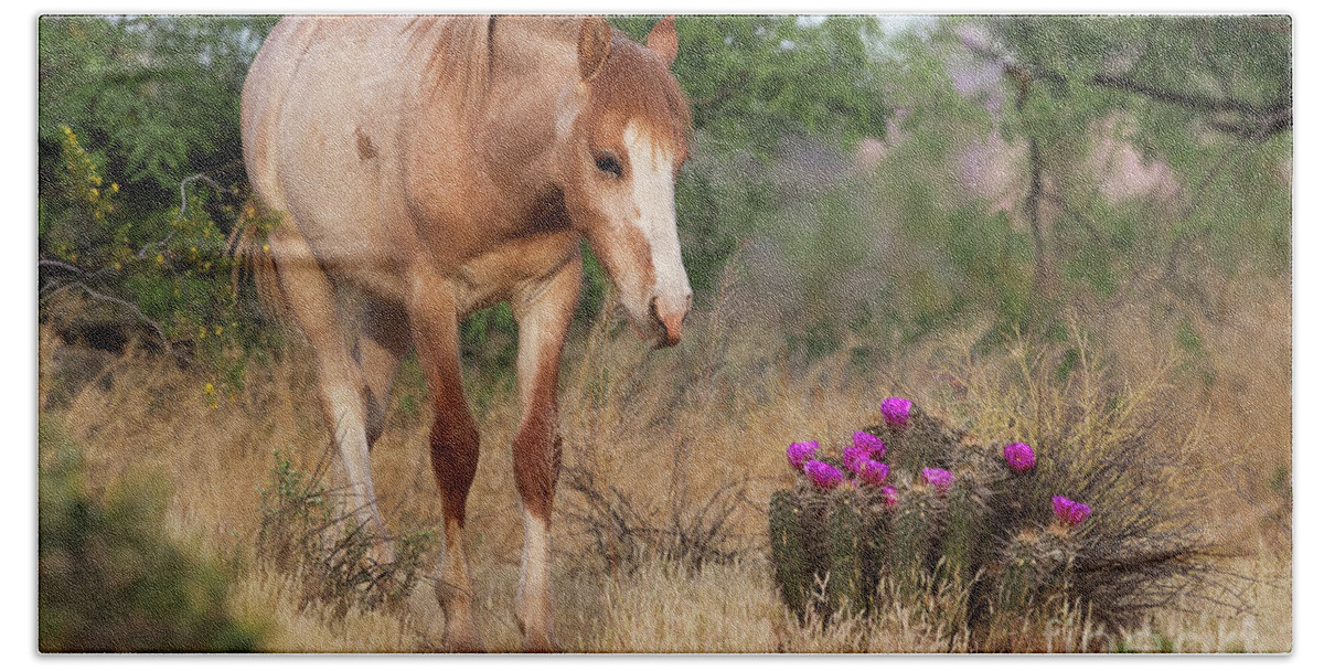 Yearling Bath Towel featuring the photograph Flowers by Shannon Hastings