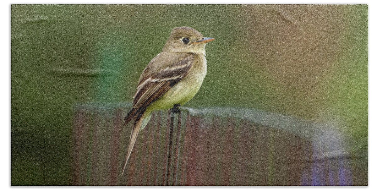 Fly Catcher Bath Towel featuring the photograph Fly Catcher by Pamela Dunn-Parrish