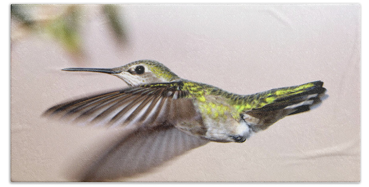 Denise Bruchman Photography Hand Towel featuring the photograph Flying Anna's Hummingbird by Denise Bruchman