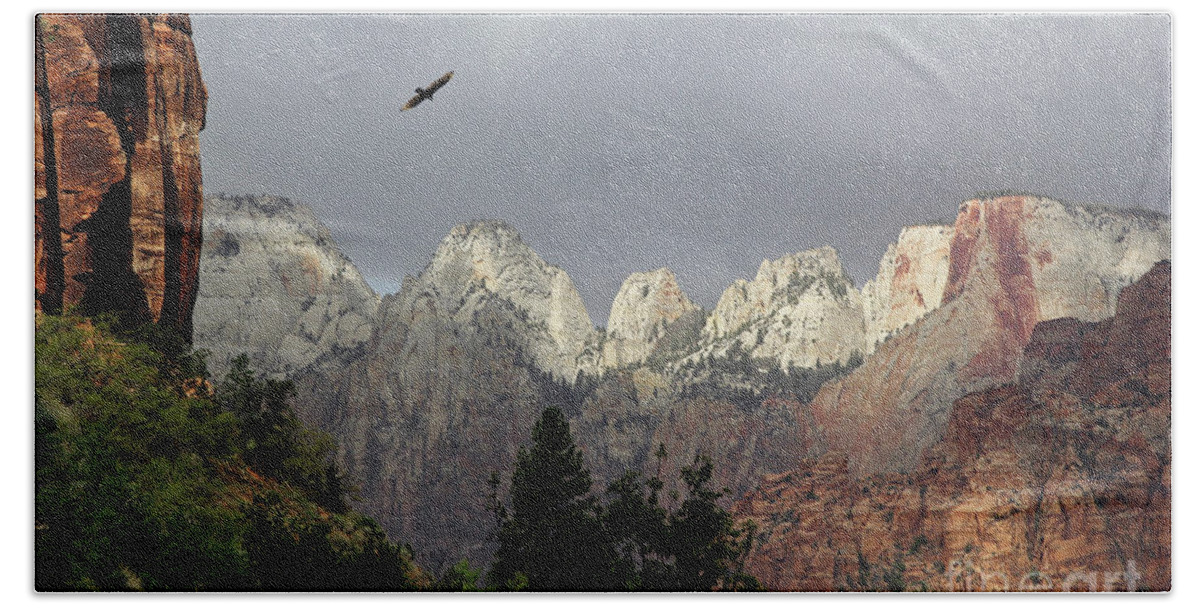 Utah Hand Towel featuring the photograph Flying Free Over Zion by Neala McCarten
