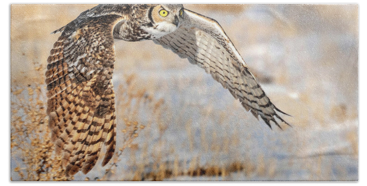 Great Horned Owl Hand Towel featuring the photograph Flying Great Horned Owl by Judi Dressler