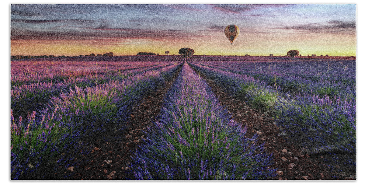 Lavender Hand Towel featuring the photograph Flying without wings by Jorge Maia