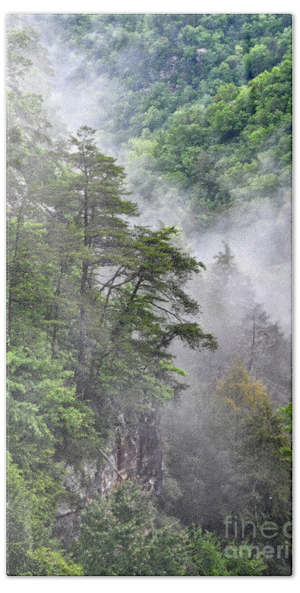 Fall Creek Falls Bath Towel featuring the photograph Fog In Valley 2 by Phil Perkins