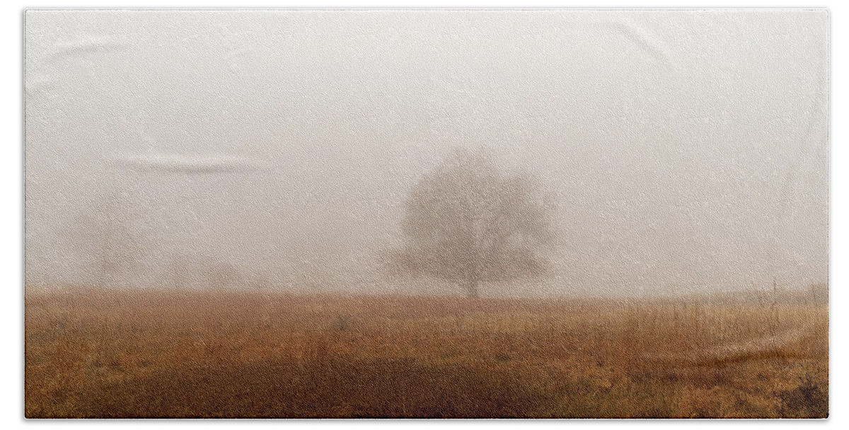 America Bath Towel featuring the photograph Fog on the Battlegrounds of Gettysburg PA by Amelia Pearn