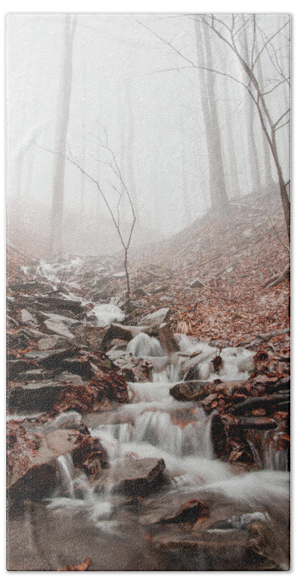 Foggy Bath Towel featuring the photograph Foggy morning in a deciduous forest by Vaclav Sonnek