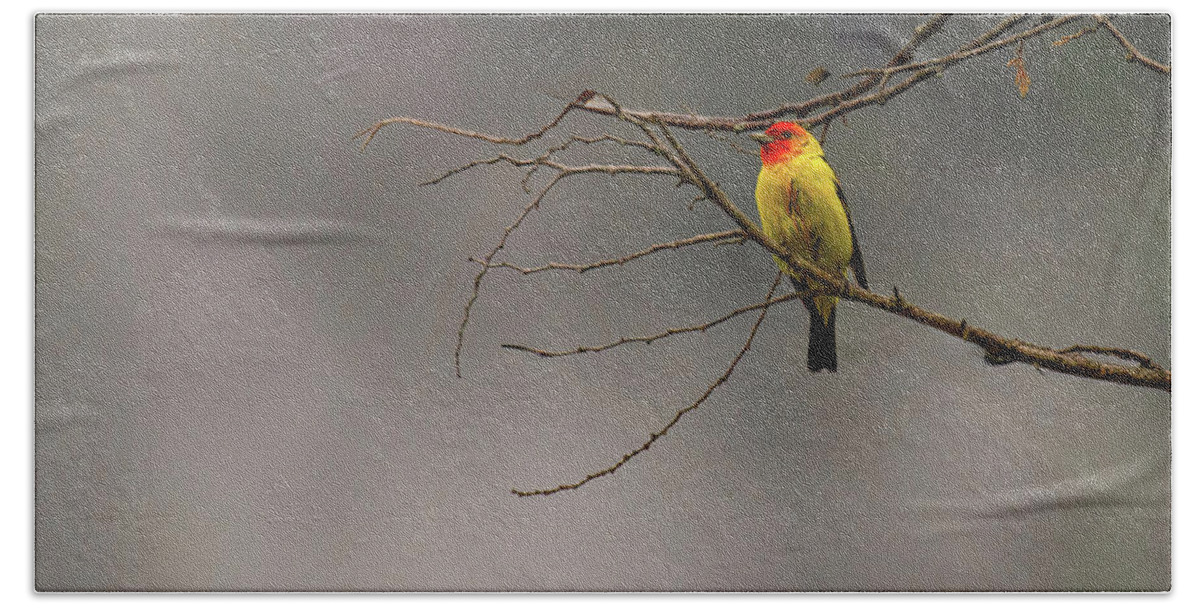 Tanager Bath Towel featuring the photograph Foggy Morning by Jim E Johnson