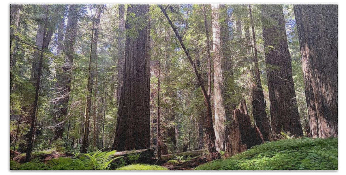 Redwoods. Humboldt County. Trees Bath Towel featuring the photograph Forest Bathe by Daniele Smith