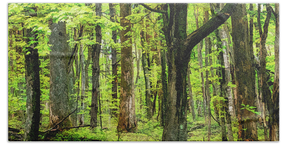 Mountains Bath Towel featuring the photograph Forest Floor Spring Trees fx 503 by Dan Carmichael