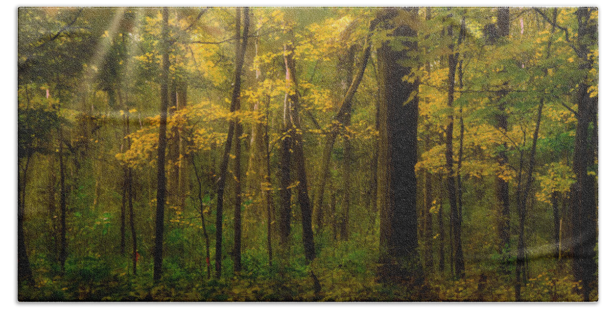 Fall Colors Hand Towel featuring the photograph Forest glow by Jim Signorelli